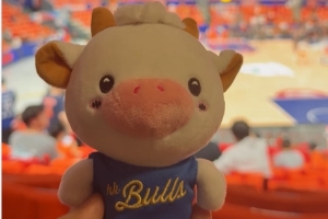 香港金牛当家球星“La Bull Bull”来感受CBA总决赛强度和氛围啦