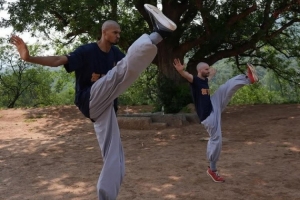 杨毅：文班在少林13天不玩社媒 早睡早起+剃度 东契奇肯定受不了